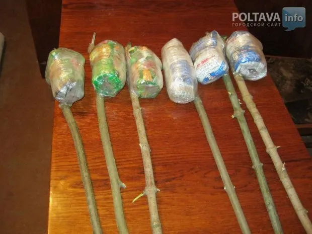 У полтавську виправну колонію намагались перекинути заборонені предмети — фото 1