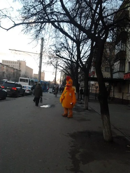 Сьогодні зранку вулицями Полтави ходило жовте курча (Фото) — фото 2