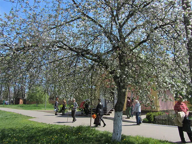 Полтавці пом’янути своїх померлих родичів (Фоторепортаж) — фото 8