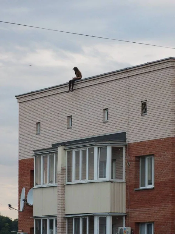 Дівчина на даху багатоповерхівки лякала людей тим, що забралася на таку висоту (Фото) — фото 1