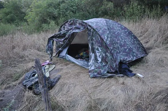 Правоохоронці виявили плантацію коноплі під охороною (Фото) — фото 2