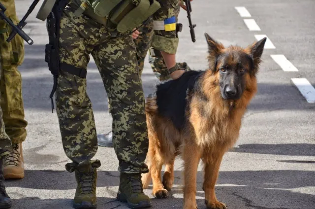 Сьогодні черговий спецпідрозділ полтавської міліції поїхав на Схід (Фоторепортаж) — фото 7