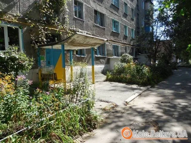 У жовто-блакитний пофарбували дитячий майданчик і під’їзди у житловому будинку (Фото) — фото 2